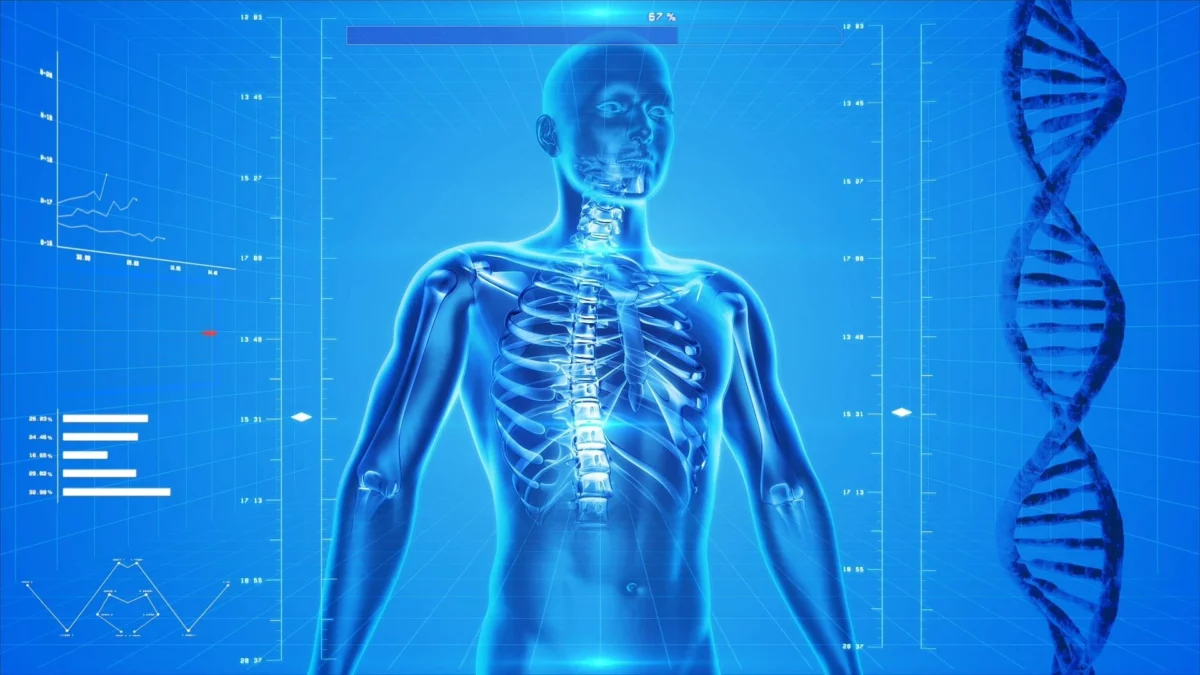 Digitaler Zwilling eines Organs für personalisierte Behandlungsplanung Trends in der Medizin